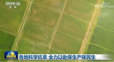 各地科学抗旱 全力以赴保生产保民生