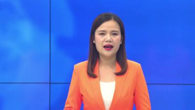 --县林业局开展松材线虫病药物防治行动