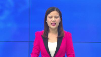 --推广农业技术  绿色防控病虫害