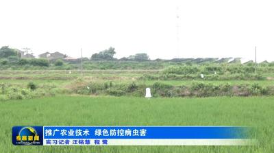 推广农业技术　绿色防控病虫害