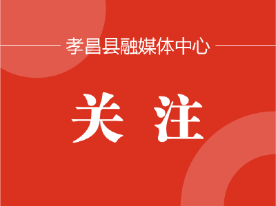 【湖北日报】全省重大水利项目集中开工活动举行