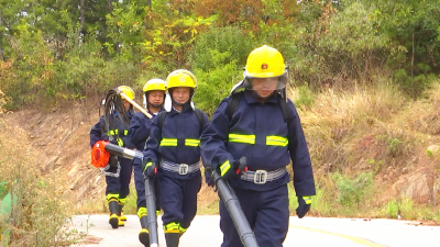 孝昌小悟：多措并举，严防细管，筑牢森林防火网