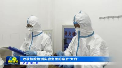 --致敬核酸检测实验室里的幕后“大白”
