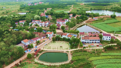 仙雨砦村：群众身边事  群众说了算