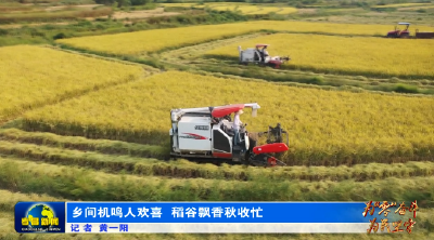 乡间机鸣人欢喜 稻谷飘香秋收忙