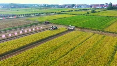 2022年9月14日《孝昌新闻》