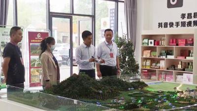 孝昌：精准对接出实招　助企纾困解难题