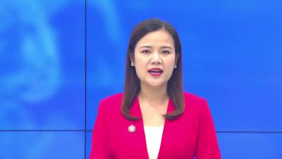 --卫店镇邹湖村：玉米机械收割 颗粒归仓