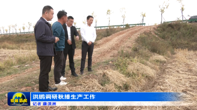 洪鹏调研秋播生产工作