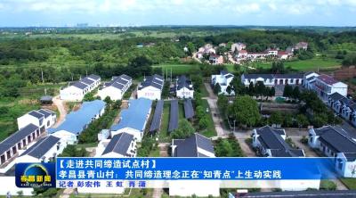 【走进共同缔造试点村】孝昌县青山村：共同缔造理念正在“知青点”上生动实践