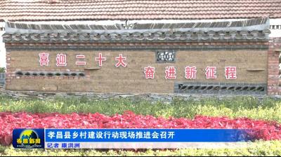 孝昌县乡村建设行动现场推进会召开