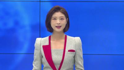 --李惠芬调研澴西工业园区建设工作