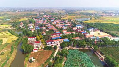 孝昌干群：感恩奋进 谱写乡村振兴新篇章