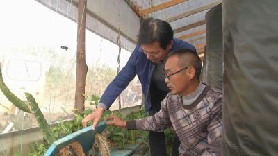 湖北省“人民满意的公务员”邹少锋：当好乡村振兴“孺子牛”