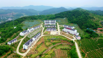 孝昌小悟：坚持党建引领 打造和美乡村