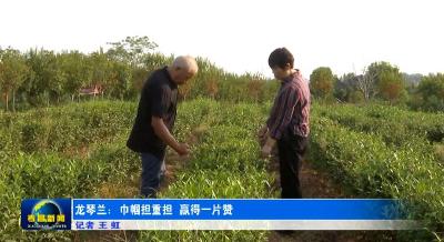 龙琴兰：巾帼担重担 赢得一片赞