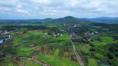 周巷镇青山村：共同缔造聚合力 让“青山”变“金山”