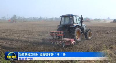 孝昌：油菜秋播正当时 绘就明年好“丰”景