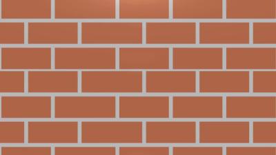 --十佳优秀青年教师 | 徐琴：呵护梦想 浇灌希望