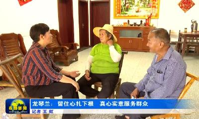 龙琴兰：留住心扎下根   真心实意服务群众