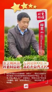 “茶疯子”周金云又获“荆楚楷模”殊荣