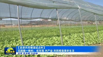 【走进共同缔造试点村】花园镇一致村：优环境　兴产业　共同缔造美好生活