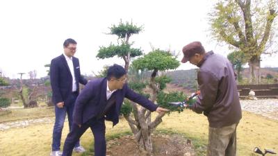 李雄文：苗木葱绿带民富