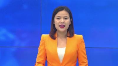 --种植迷迭香  富民也富村