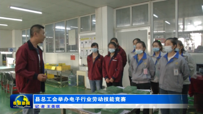 县总工会举办电子行业劳动技能竞赛