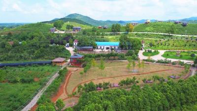 【走进共同缔造试点村】孝昌县金陈湾：汇聚民意民智民力 打造农旅养融合发展示范点