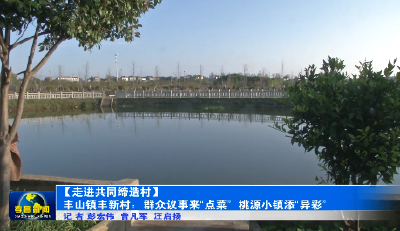 【走进共同缔造试点村】丰山镇丰新村：共同缔造来“点菜” 桃源小镇添异彩