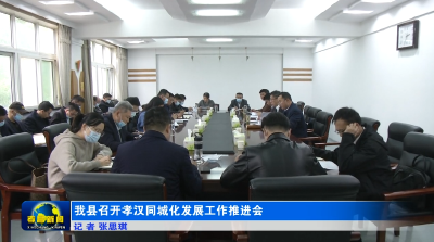 我县召开孝汉同城化发展工作推进会