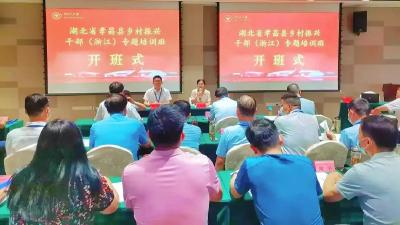 孝昌县：坚持“四化”并举，全力推动基层党建向纵深发展
