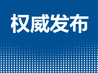 习近平在亚太经合组织第二十九次领导人非正式会议上的讲话