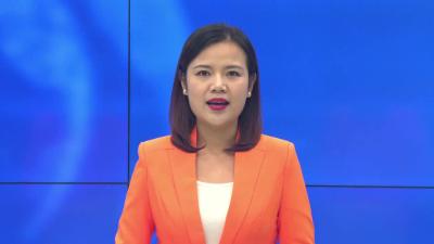 --田间地头喊你来采摘 江河萝卜喜获丰收