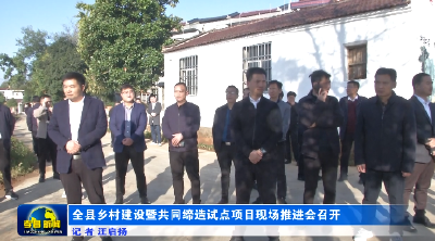 全县乡村建设暨共同缔造试点项目现场推进会召开