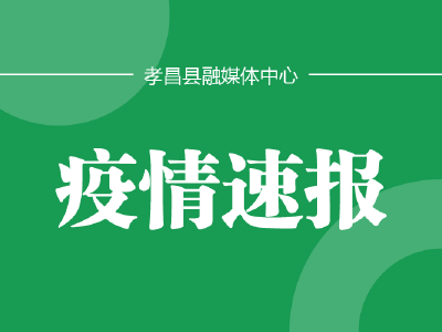 2022年12月4日湖北省新冠肺炎疫情情况