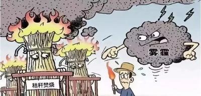 秸秆禁烧，这些你应该知道！