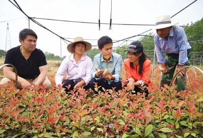 孝昌乡贤等群众力量参与共同缔造经验获《调查与研究》杂志、农村新报宣传推介