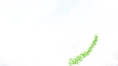 --孝昌：废旧汽车拆解  让再生资源物尽其用