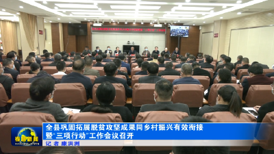 全县巩固拓展脱贫攻坚成果同乡村振兴有效衔接暨“三项行动”工作会议召开