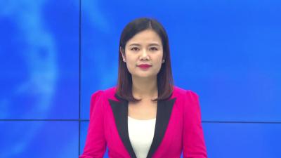 --观音湖区开展新春送福进万家活动