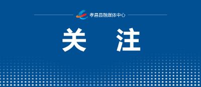 同心协力全面推进乡村振兴——习近平总书记在中央农村工作会议上的重要讲话引发强烈反响