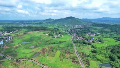 《湖北日报》头版聚焦孝昌：青山村里觅“金山”