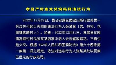 --孝昌严厉查处焚烧秸秆违法行为