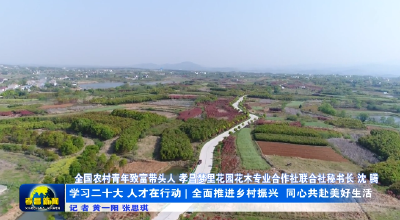 学习二十大 人才在行动 | 全面推进乡村振兴 同心共赴美好生活