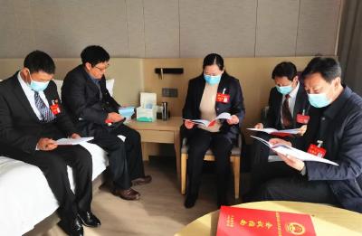 携民意 递民声 献良策 人大代表今日报到