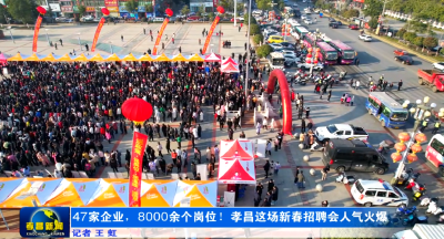 47家企业，8000余个岗位！孝昌这场新春招聘会人气火爆