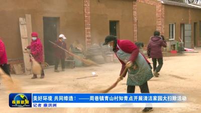 美好环境 共同缔造——周巷镇青山村知青点开展清洁家园大扫除活动