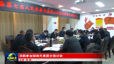 洪鹏参加邹岗代表团分组讨论